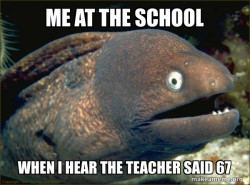 Bad Joke Eel