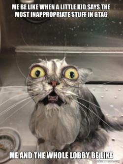 Cat bath