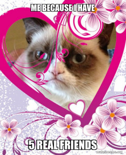 Grumpy cat Valentines Day