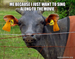 Hairless Cow