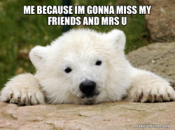 Popular Opinion Bear