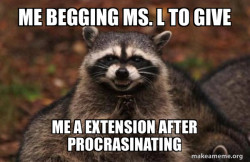Evil Plotting Raccoon