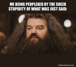 Hagrid - I should not have said that
