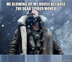 Bane (born into it, molded by it)