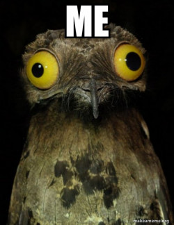 Weird Stuff I do Potoo