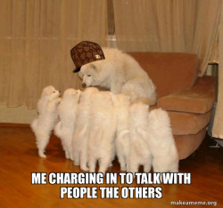 Scumbag Storytelling Dog