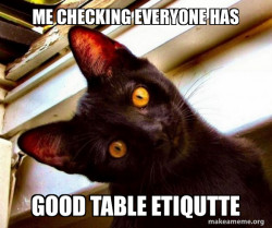 Overly Attached Cat