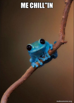 Small Fact Frog