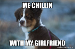 Unsure Dog