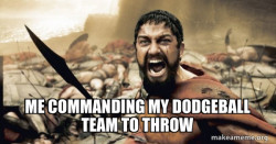 The 300