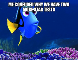 Dory from Nemo  (5 second memory)