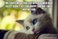 First World Cat Problems
