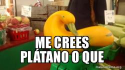 Gourd Advice Mallard