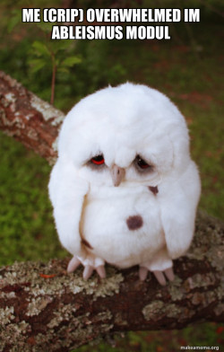 Sad Owl