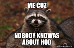 Evil Plotting Raccoon
