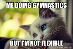 First World Cat Problems