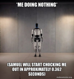 Tesla Robot