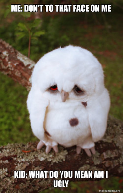 Sad Owl