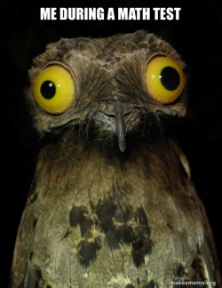 Weird Stuff I do Potoo