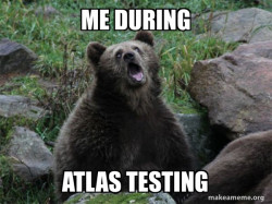 Sarcastic Bear