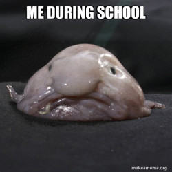 Blobfish