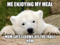 Popular Opinion Bear