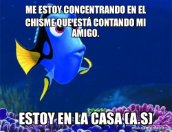 Dory from Nemo  (5 second memory)