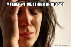 First World Problems
