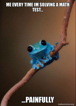 Small Fact Frog