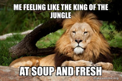 Contemplative Lion