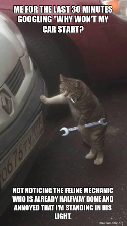 Mechanic Cat