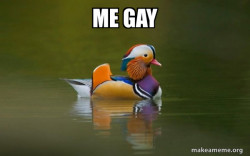 Fashionable Advice Mallard