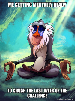Rafiki Meditating - Lion King