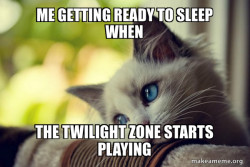 First World Cat Problems