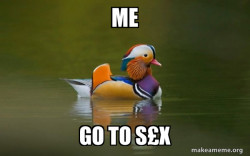 Fashionable Advice Mallard