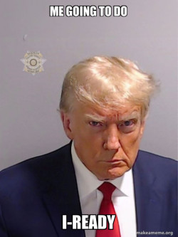 Donald Trump Mugshot