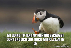Unpopular Opinion Puffin