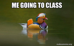 Fashionable Advice Mallard
