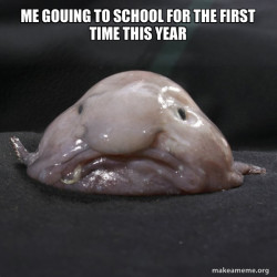 Blobfish