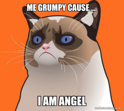 Cartoon Grumpy Cat