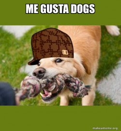 Scumbag dog