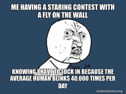 Y U No