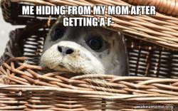 Impending Doom Seal