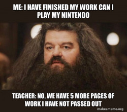 Hagrid - I should not have said that
