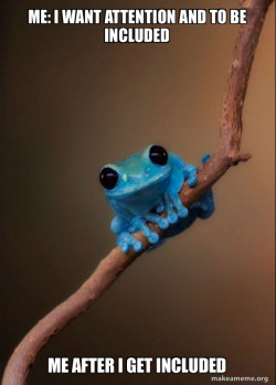 Small Fact Frog