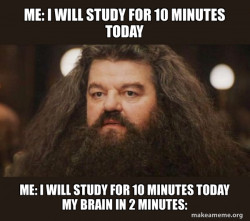Hagrid - I should not have said that