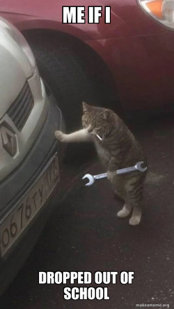 Mechanic Cat