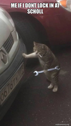 Mechanic Cat