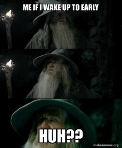Confused Gandalf
