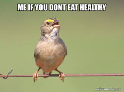 Common Opinion Sparrow